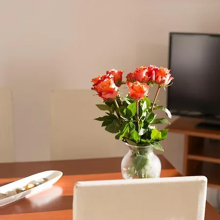 Moderne Im Erdgeschoss Apartment